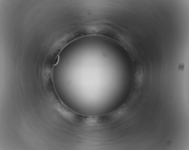 X0000114210574200910091327