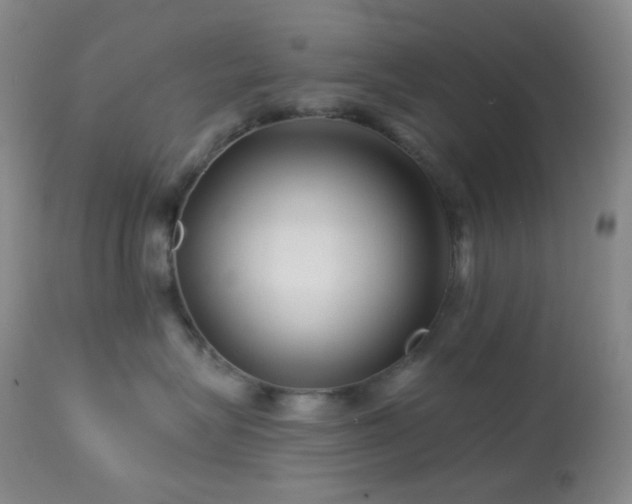 X0000114210575200910091327