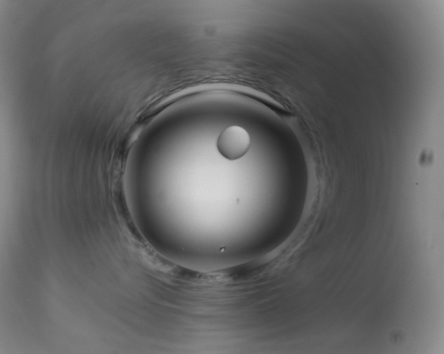 X0000114210576200910091327
