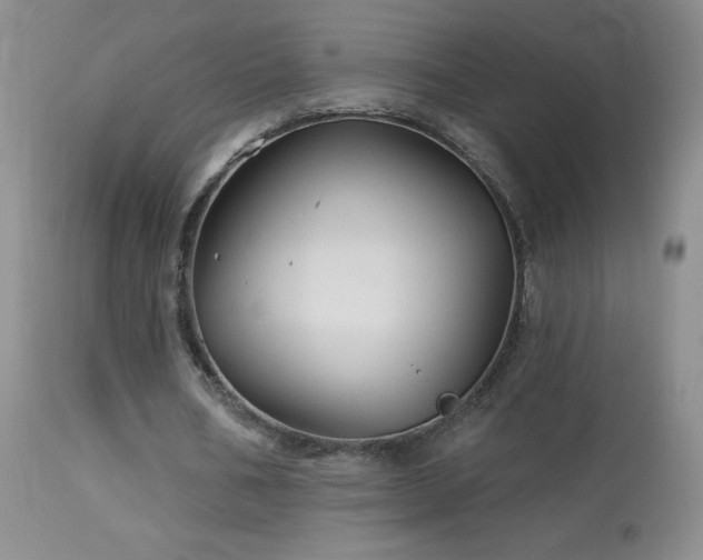 X0000114210578200910091326