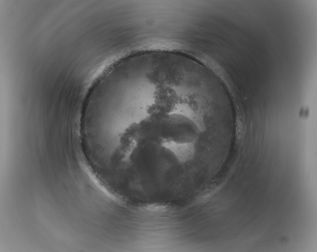 X0000114210581200910091326