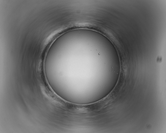 X0000114210583200910091326