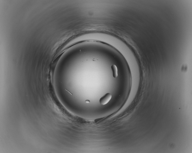 X0000114210585200910091326