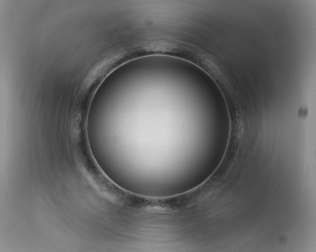 X0000114210586200910091326
