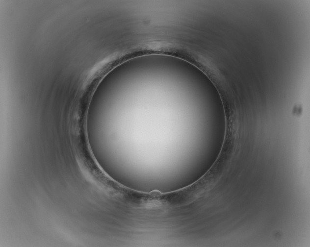 X0000114210587200910091326