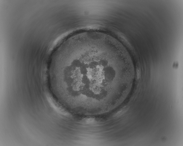 X0000114210588200910091326