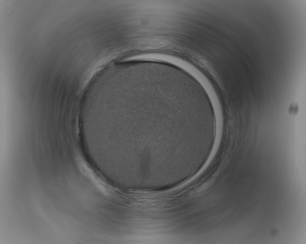 X0000114210589200910091326