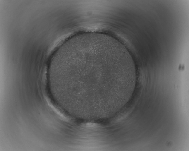 X0000114210590200910091326