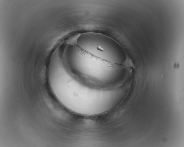 X0000114210592200910091326