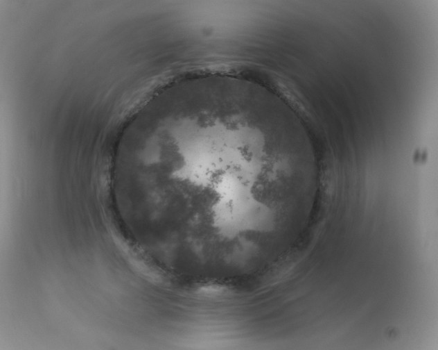 X0000114210593200910091326