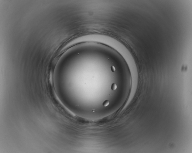 X0000114210597200910091325
