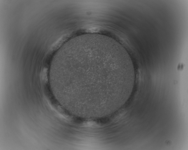 X0000114210598200910091325