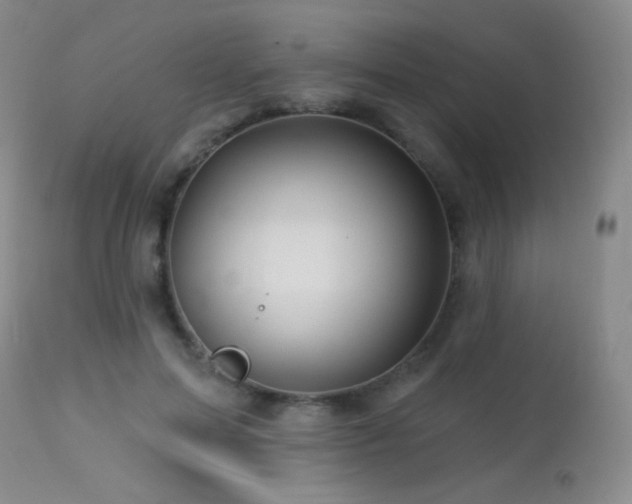 X0000114210599200910091325