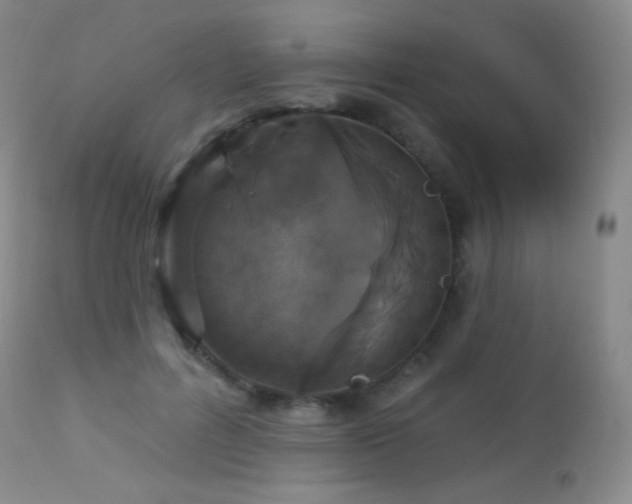 X0000114210600200910091325