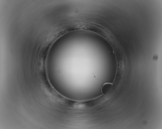 X0000114210602200910091325