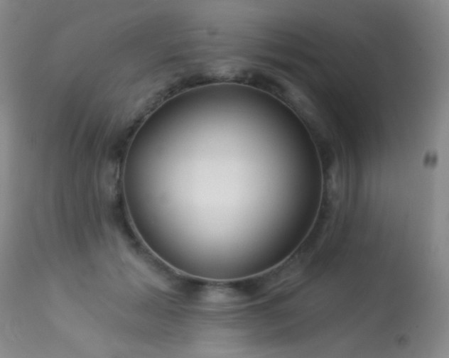 X0000114210605200910091325
