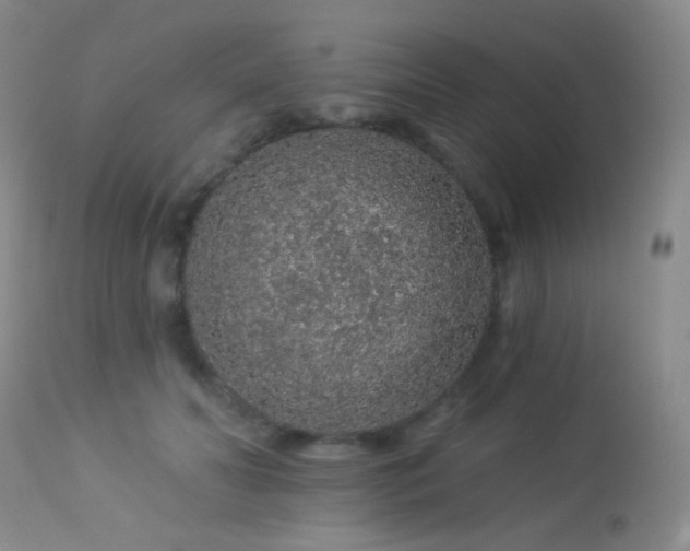 X0000114210606200910091325