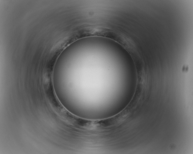 X0000114210607200910091325