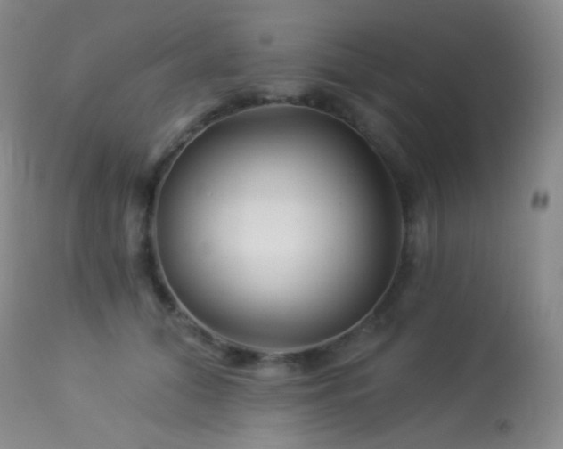 X0000114210608200910091325