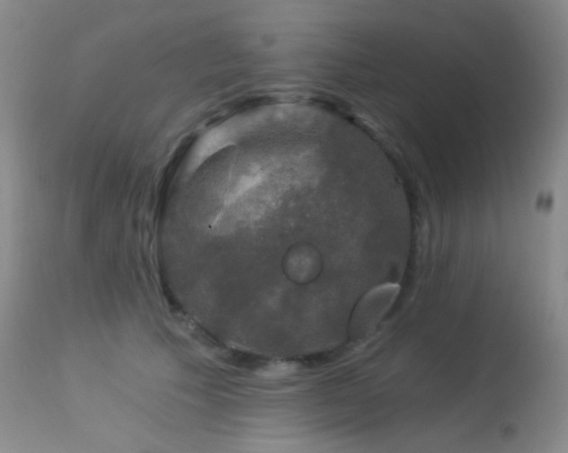 X0000114210609200910091325