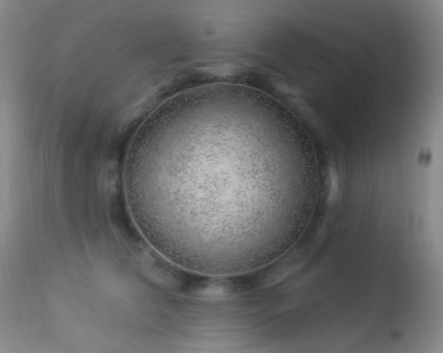 X0000114210612200910091325