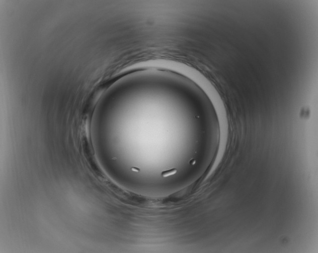 X0000114210613200910091325