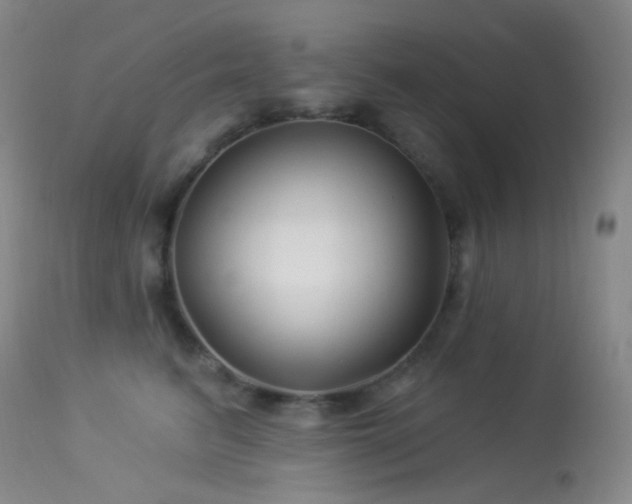 X0000114210615200910091325
