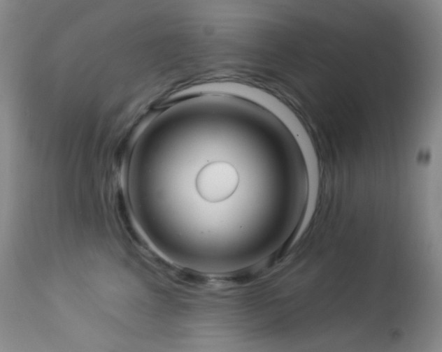 X0000114210617200910091325