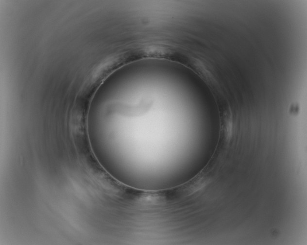 X0000114210619200910091325