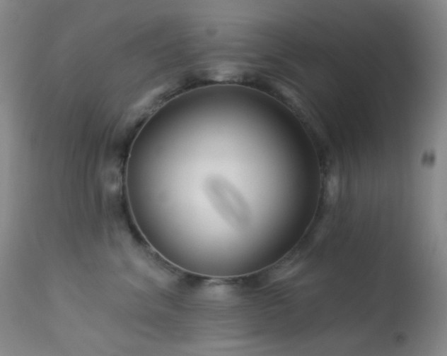 X0000114210620200910091325