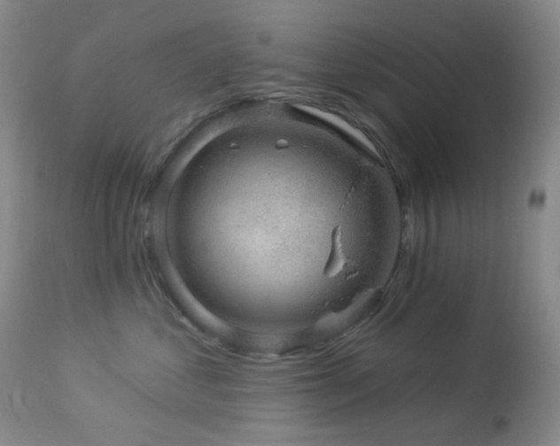 X0000114210621200910091325