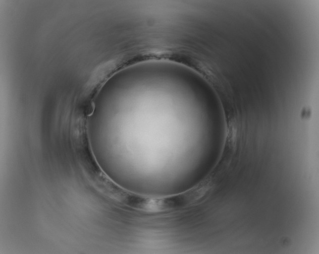 X0000114210623200910091325