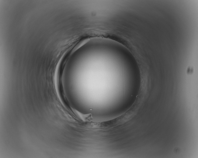 X0000114210624200910091325