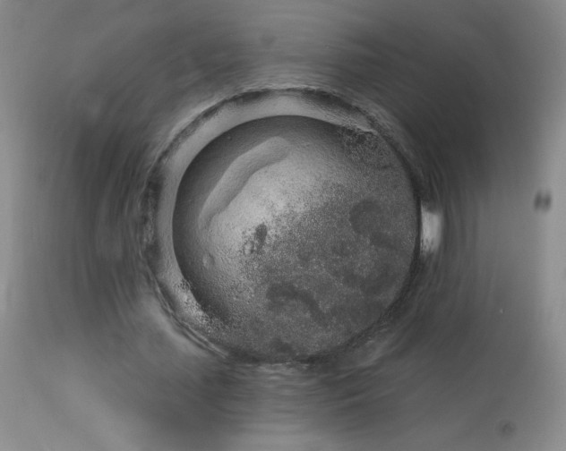 X0000114210627200910091324