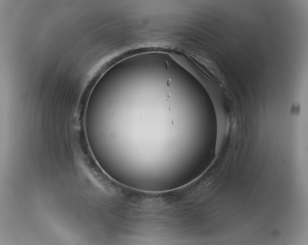 X0000114210628200910091324