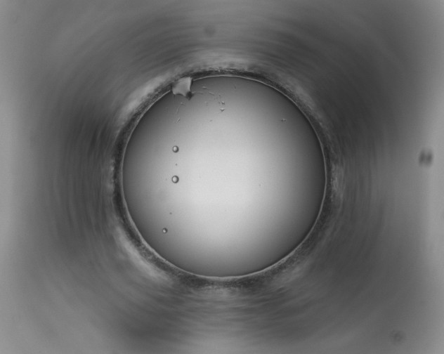 X0000114210629200910091324