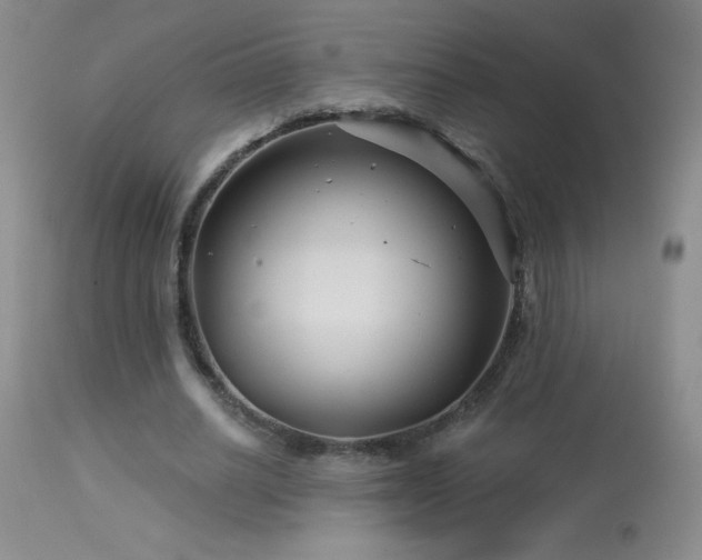 X0000114210630200910091324