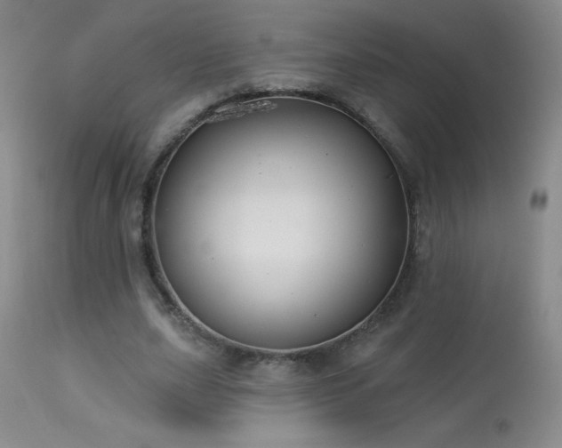 X0000114210631200910091325