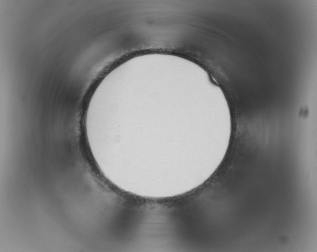 X0000114210632200910091325