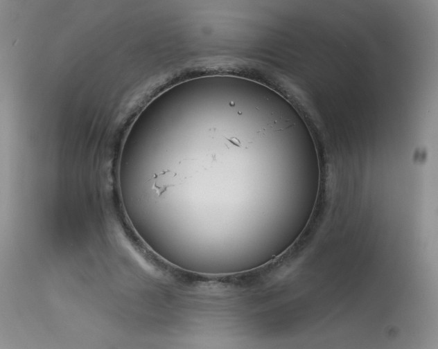 X0000114210633200910091325