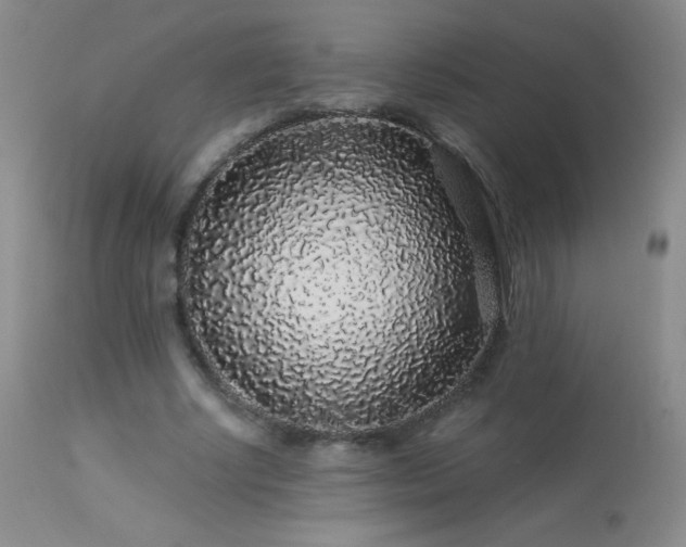 X0000114210634200910091325
