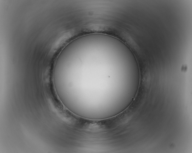 X0000114210635200910091325