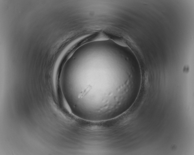 X0000114210637200910091325