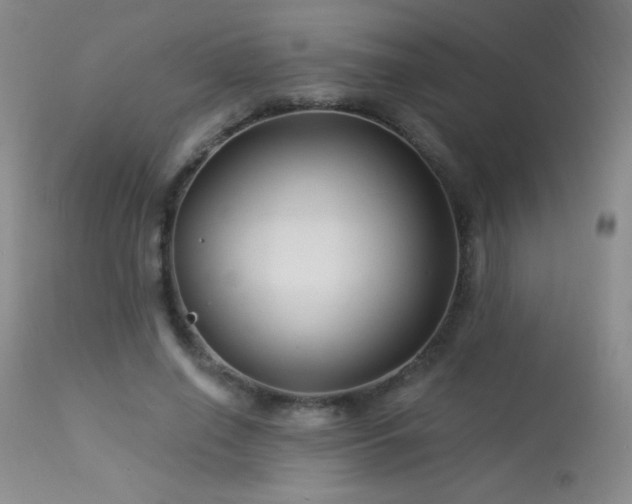 X0000114210638200910091325