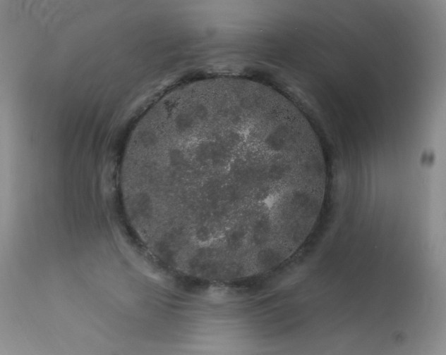 X0000114210641200910091325