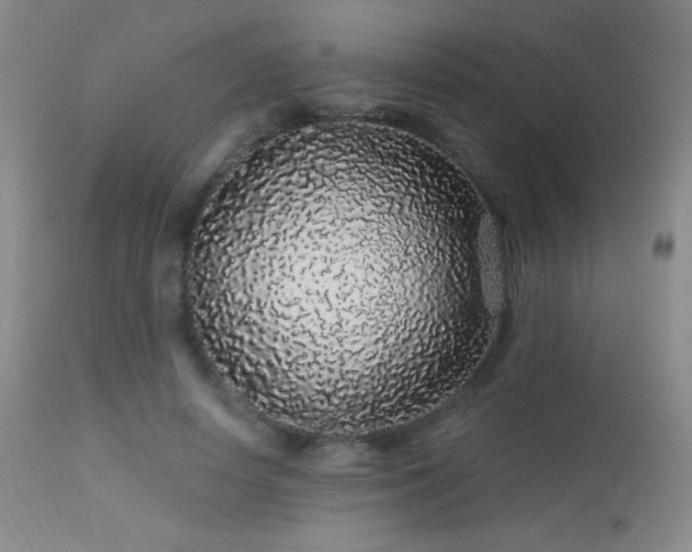 X0000114210642200910091325