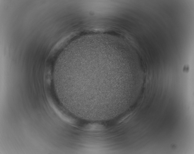 X0000114210644200910091325