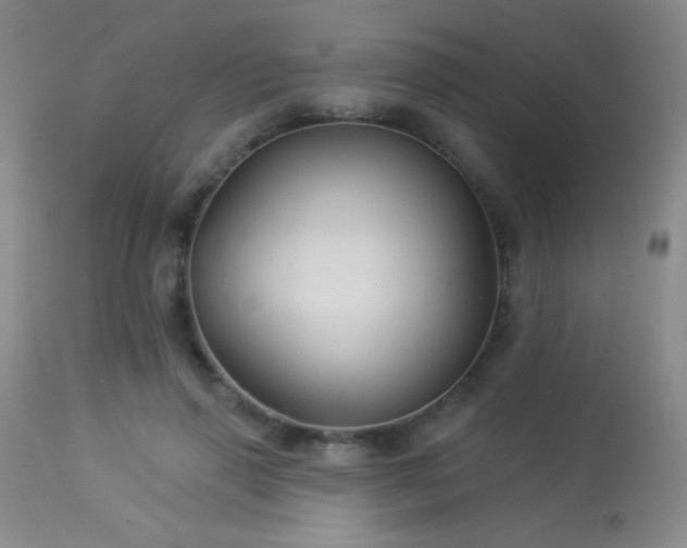 X0000114210645200910091325