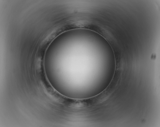 X0000114210646200910091325