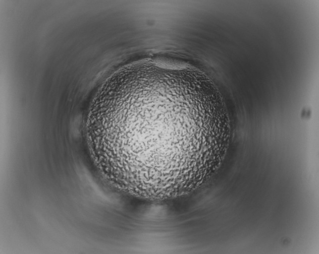X0000114210647200910091325